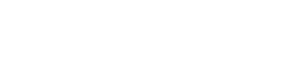 Logo website header - wit